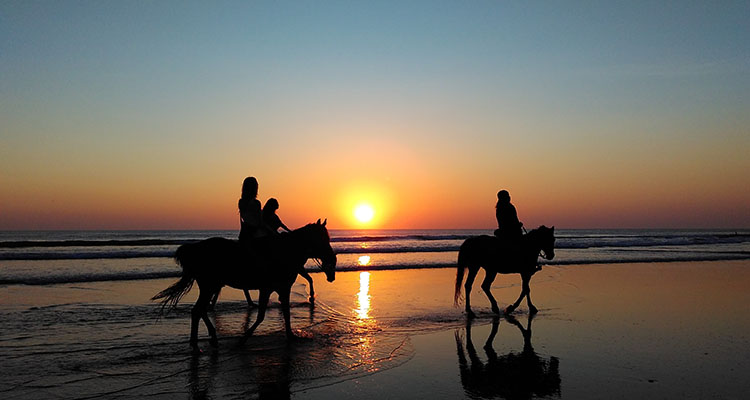 Paseo a caballo por la playa de Sanlúcar atardecer