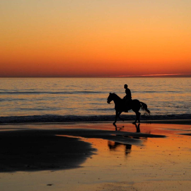 rutas a caballo por la playa