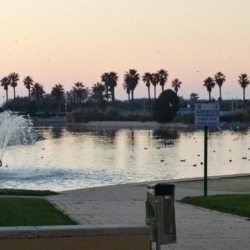 Paseo costero y marismas en Costa Ballena