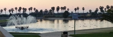 Costa Ballena