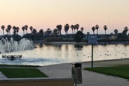 Paseo costero y marismas en Costa Ballena