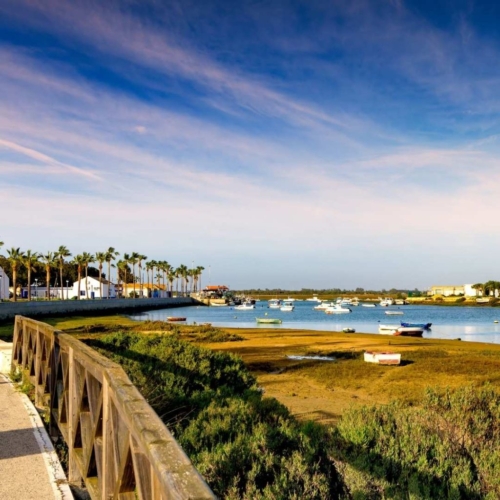 Paseo costero y marismas en Costa Ballena