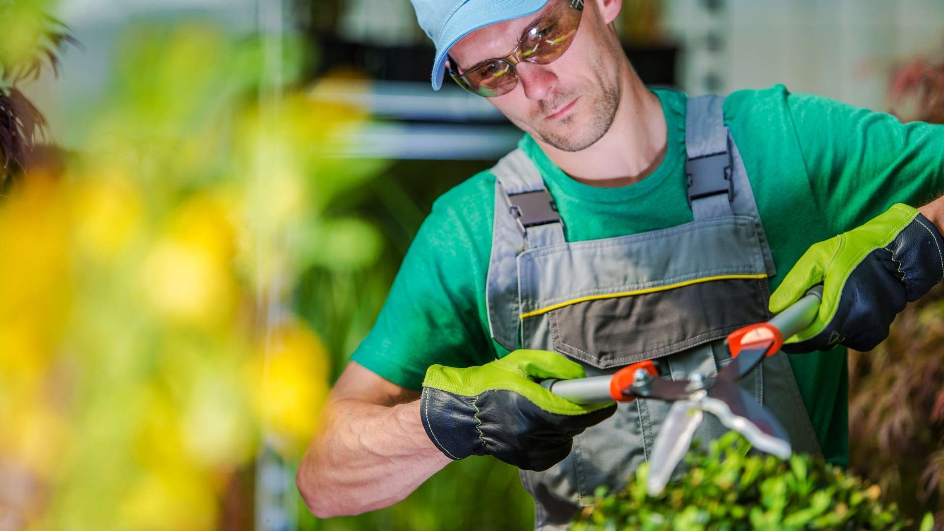 Jardineros de confianza para viviendas vacacionales y segundas residencias 1 Jardineros para viviendas vacacionales