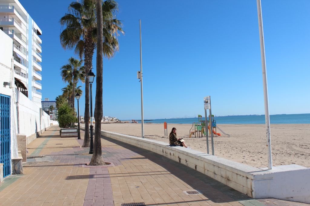Paseo marítimo de Rota con palmeras y playa de arena fina